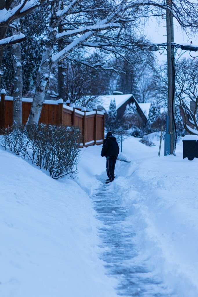 A serene winter morning scene in a snowy Toronto neighborhood.